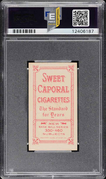 1909-11 T206 Bill Bergen CATCHING, SWEET CAPORAL 350-460/25 PSA 5 EX PWCC-E (MGD2)