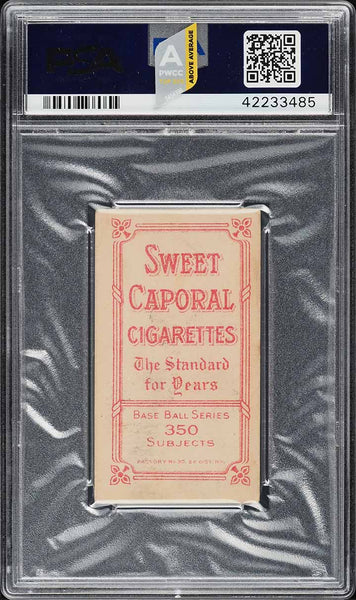 1909-11 T206 Mordecai Brown CHICAGO SHIRT, SWEET CAPORAL 350/30 PSA 4.5 PWCC-A (MGD2)